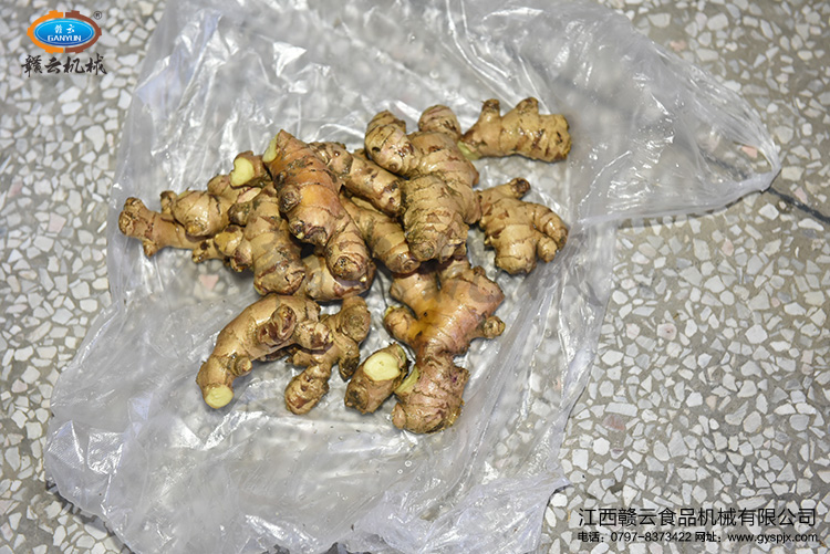 試機(jī)用本地生姜